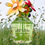 Texen виготовляє ковпачок аромату Marc Jacobs Daisy Wild Eau So…