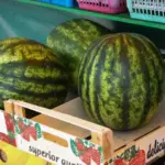 Як замаринувати кавун: рецепт якої ви давно шукали