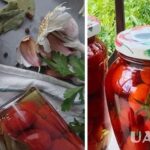 Як приготувати кисло-солодкі помідори чері – рецепт маринованих помідорів на…