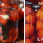 Як приготувати солодкі мариновані помідори – помідори на зиму без…