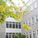 Як ставити цілі на навчальний рік, щоб не забути все…