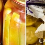 Як приготувати кабачки у кетчупі – рецепт консервованих кабачків на…