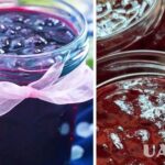 Як приготувати смородину із цукром на зиму – рецепт смородини…