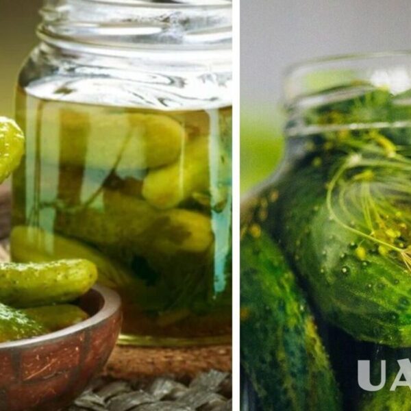 Мариновані огірки як у McDonald’s – рецепт