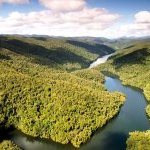 IFF відкриває біорозвідувальну лабораторію в Легаду-дас-Агуас, Атлантичному лісовому заповіднику в Бразилії (Фото: Reservas Votorantim)