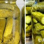 Рецепт хрустких маринованих огірків без оцту на зиму.