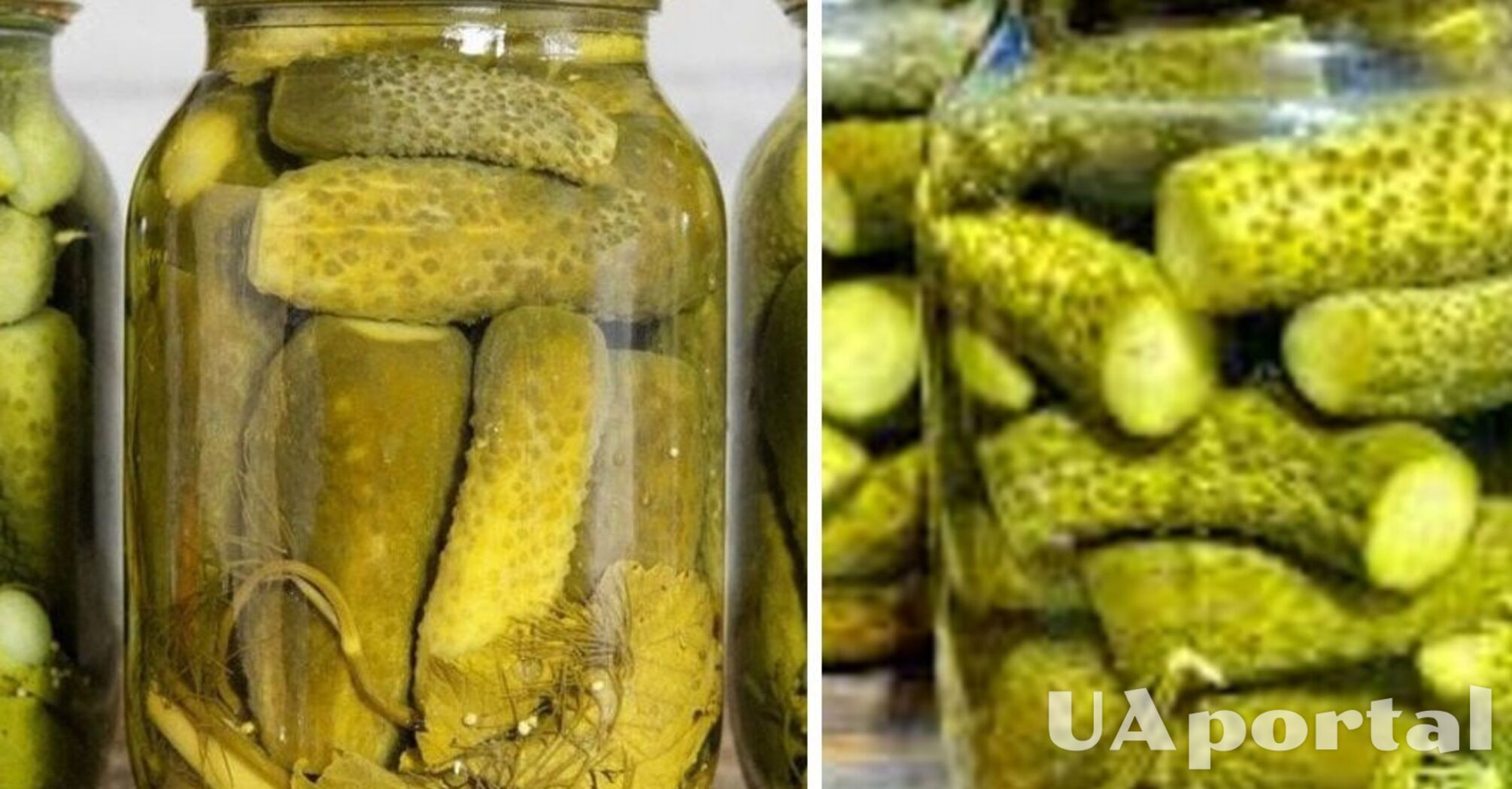Залишаються хрусткими надовго: рецепт консервованих огірків без оцту на зиму
