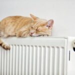Як не замерзнути у власній квартирі?
