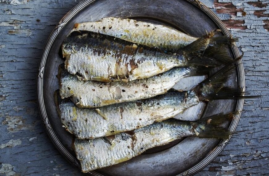 120 днів на сардинах: чи здивує вас результат такого експерименту?