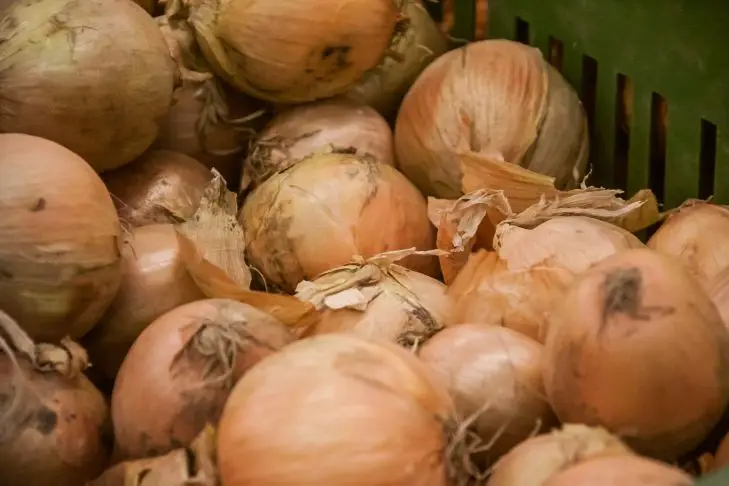 Секрет шеф-кухарів: як нарізати цибулю, щоб очі не сльозилися 6