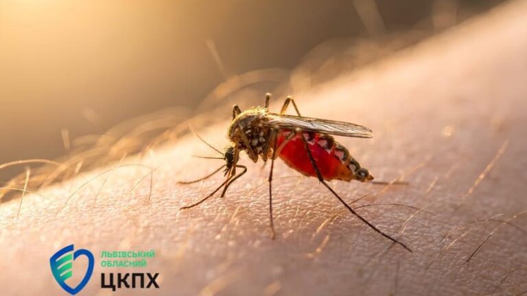 Малярія після Занзібару: як уберегти себе від небезпечної хвороби 4 Малярія після Занзібару: як уберегти себе від небезпечної хвороби 3