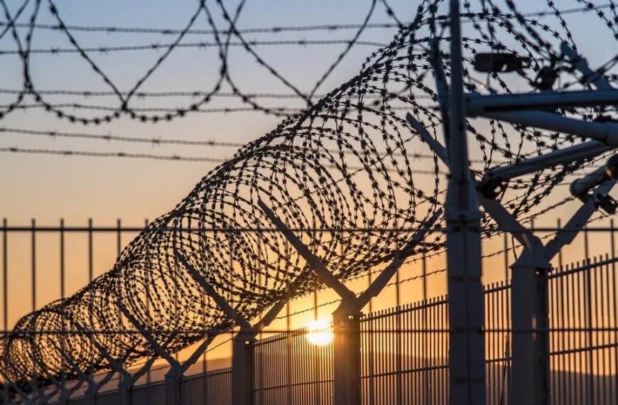 Україночка 58 Штучний інтелект зруйнував життя: українка втратила все через одну помилку, яку допустив алгоритм