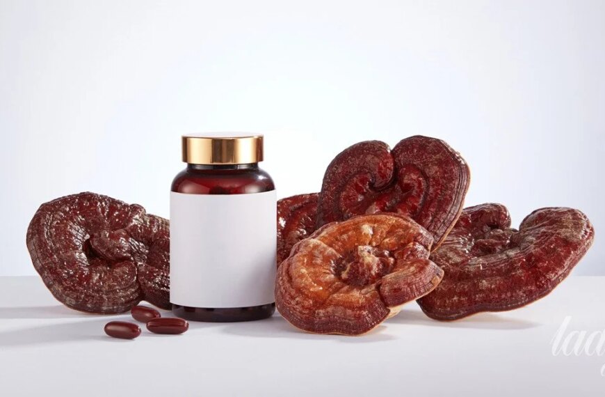 Україночка 144 Рейші: секрет молодості вашої шкіри, про який заговорив увесь світ