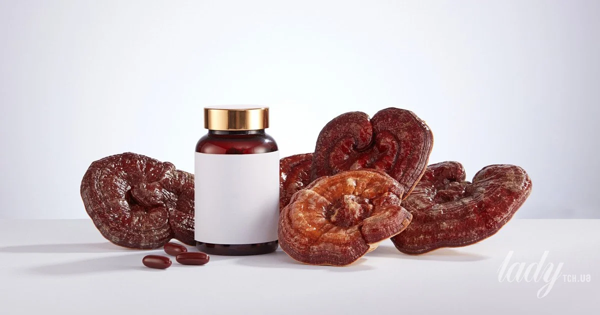 Гриб, який змінює правила гри Гриб, який змінює правила гри