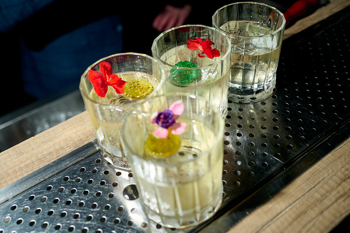 СонЯ Плакидюк та інші гості шоу BOBKOVA SS&rsquo;26: атмосферний вечір у галереї «Лавра»