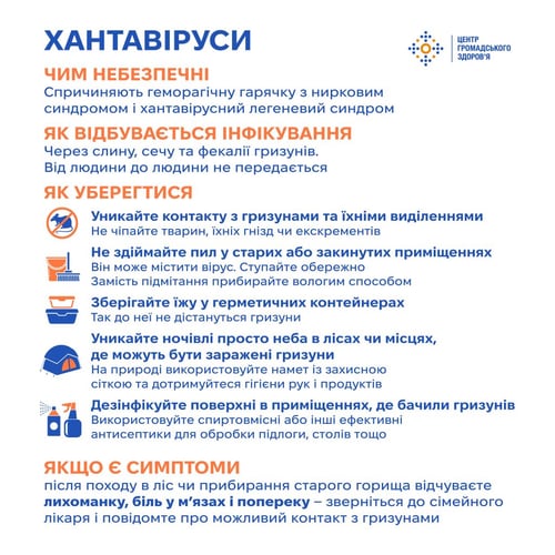 Хантавірус: чому українські жінки мають бути насторожі? 2