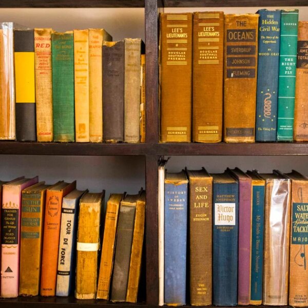 Мистецтво книжкових полиць: декор, що дарує гармонію та натхнення