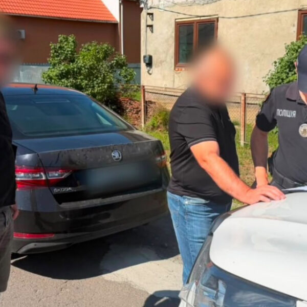 Закарпатський лісокрадій: як один чоловік наніс шкоди величним букам?
