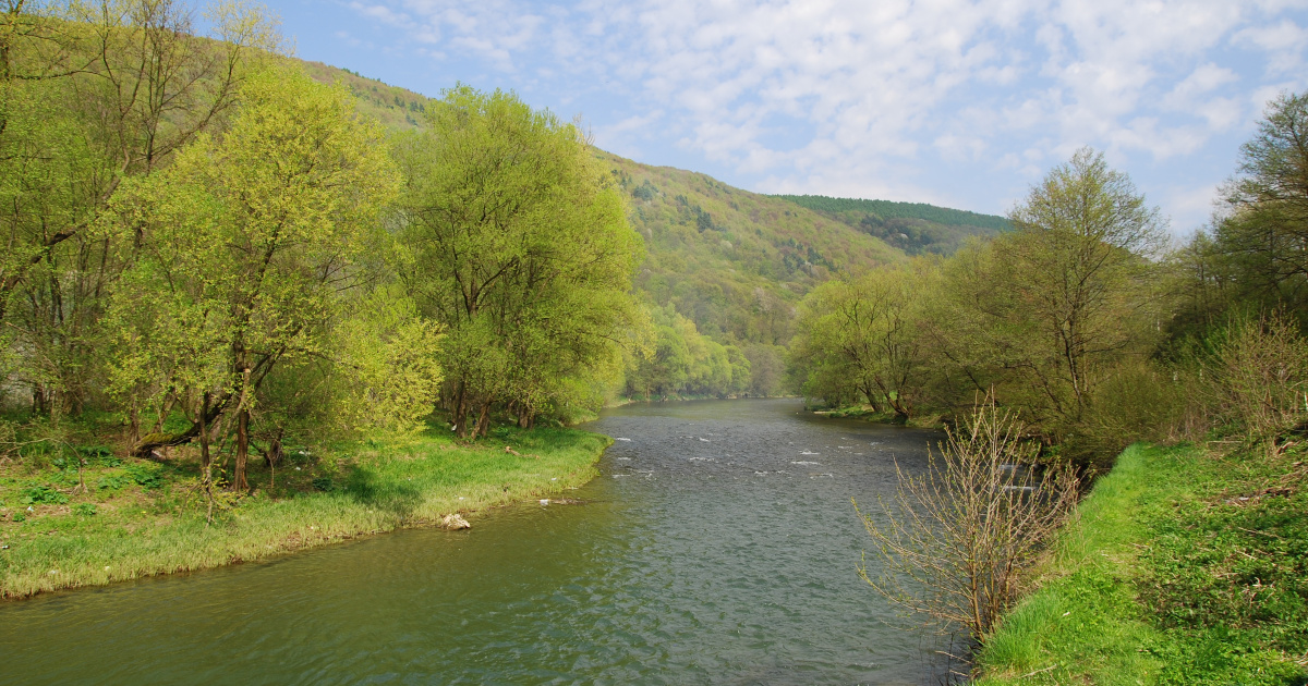 Латориця на межі: як посуха в Мукачеві загрожує красі Закарпаття 2 Фото до статті