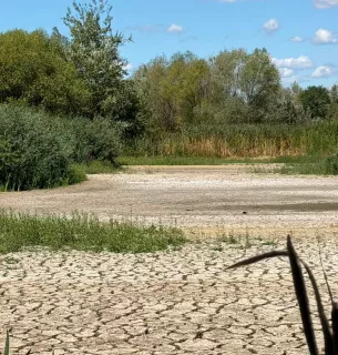 В Ужгороді висохло Чорне озеро: унікальна екосистема опинилася під загрозою знищення В Ужгороді висохло Чорне озеро: унікальна екосистема опинилася під загрозою знищення