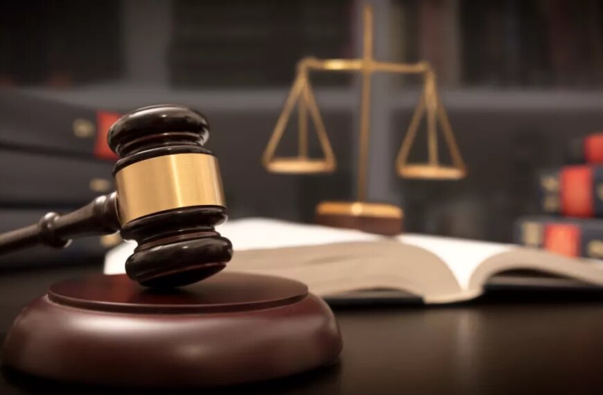 Земельні війни: Як бізнесмен перетворив гай на стихійне сміттєзвалище на Київщині