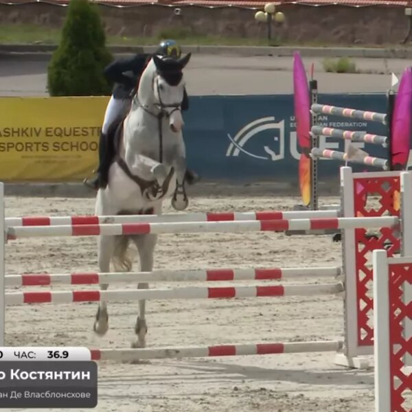 Секрети чемпіонського маршруту: хто підкорив вершину кінного спорту України?