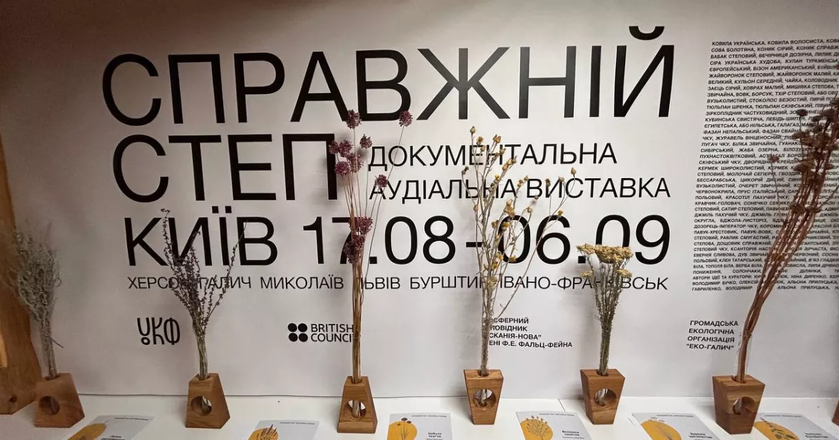 Фото до статті