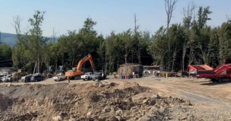 Закарпаття: Секретна схема видобутку "золотої" породи, що вразила мільярдом. 11