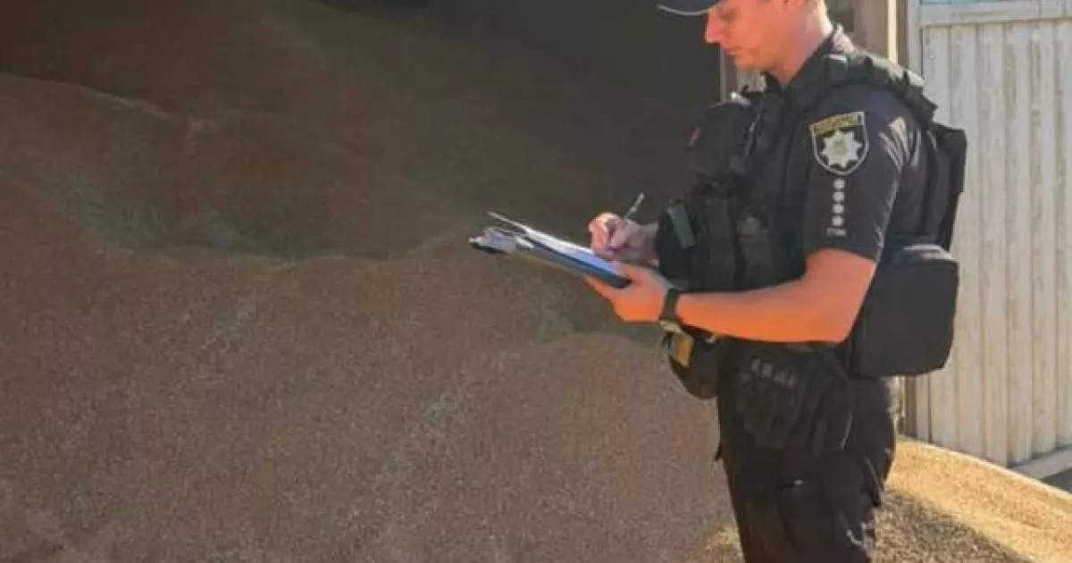 Зернова пастка: трагедія на підприємстві забрала життя водія в Ізмаїлі 3 Фото до статті