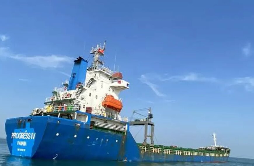 Україночка 141 Чорне море: полум’я та фінал торговельного судна. Що насправді сталося?