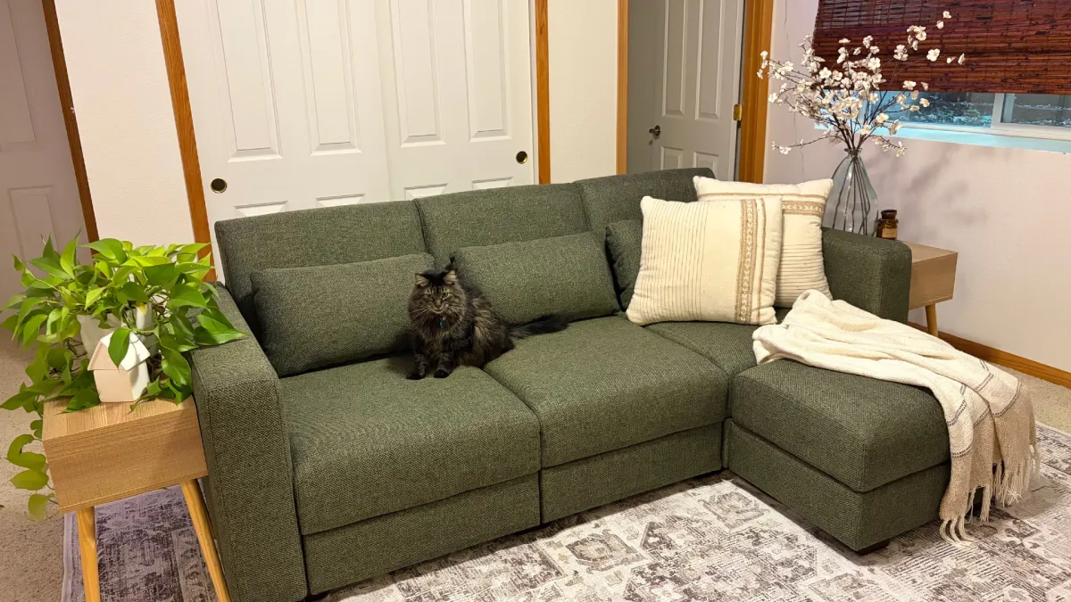 Диван Cozey Neptune Sleeper Sofa та килим Gabrielle з кішкою