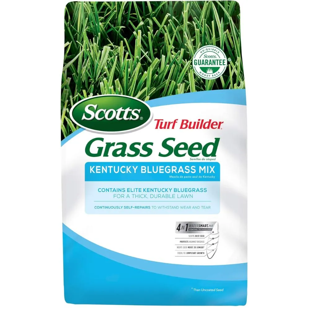 Scotts Turf Builder Grass Seed Kentucky Bluegrass Mix на білому фоні