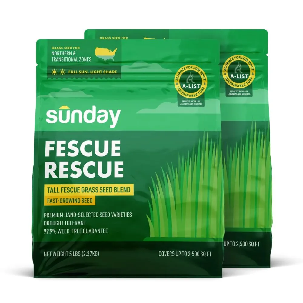 Насіння трави Sunday Fescue Rescue Grass Seed на білому фоні