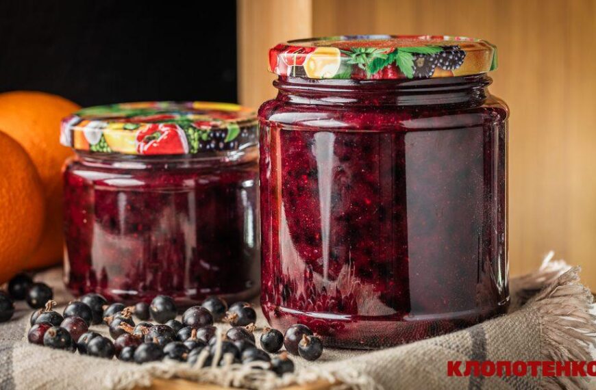 Смородина на зиму: рецепт Клопотенка без варіння