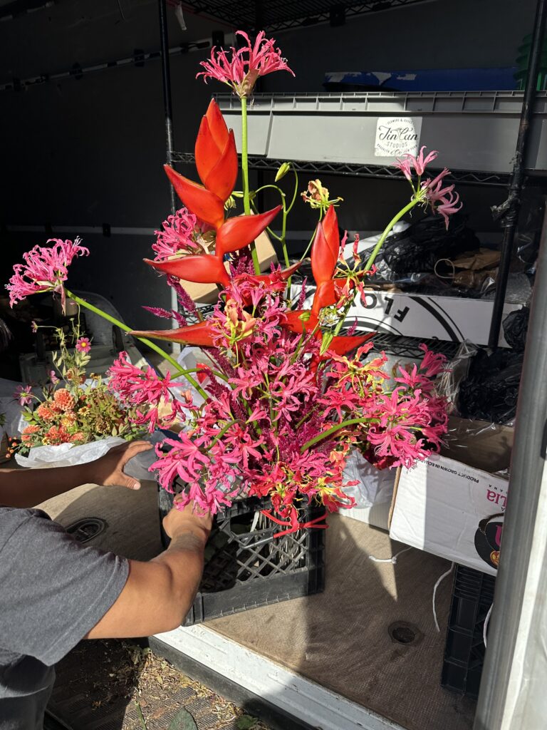 Де Future Flowers знаходить найкращі квіти 9