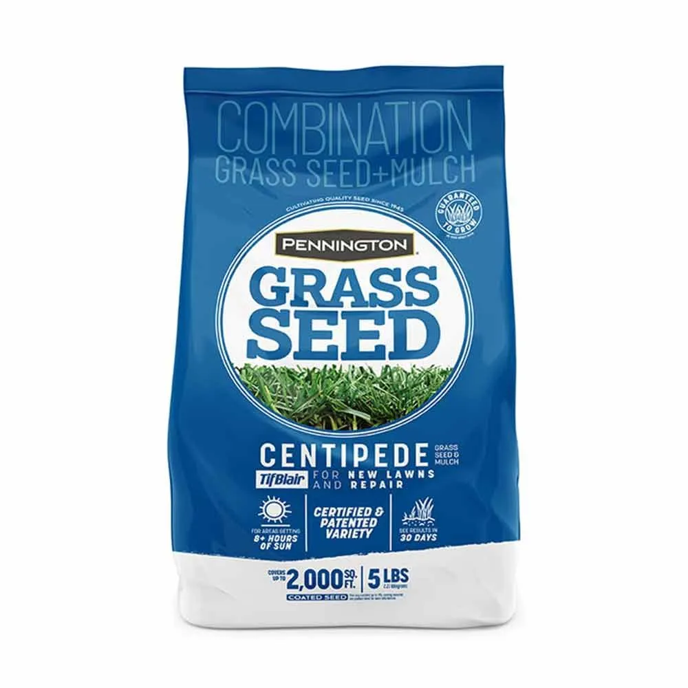 Насіння трави Pennington Tifblair Centipede Grass Seed на білому фоні
