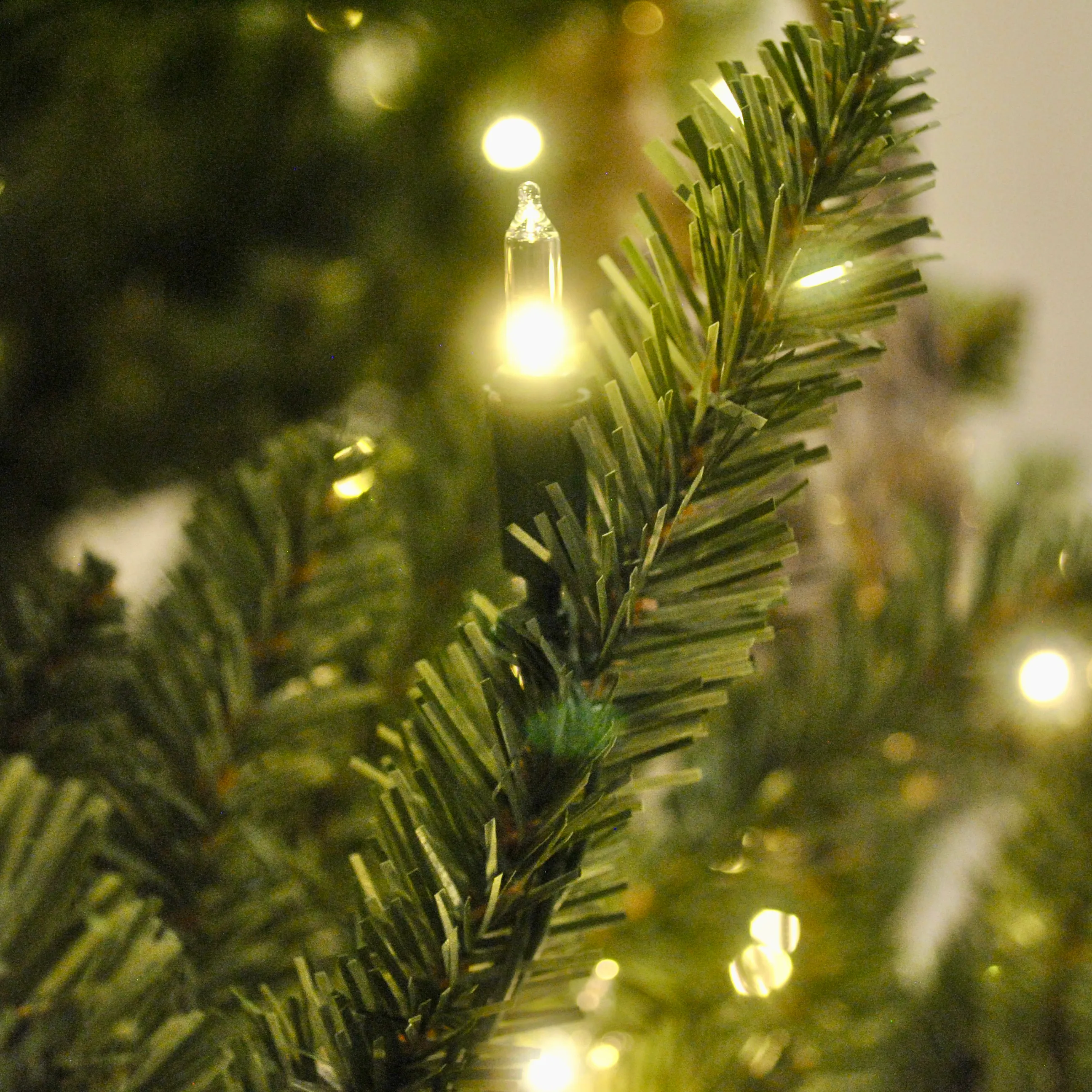Наближене зображення ялини Blue Spruce від Balsam Hill
