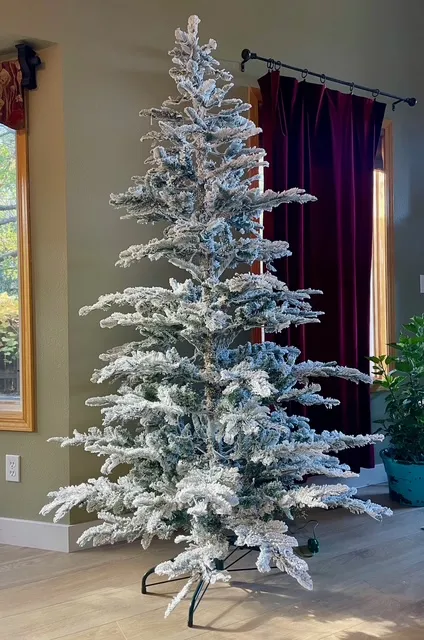 Ялина King of Christmas King Noble з попередньо встановленими гірляндами та сніговим покриттям