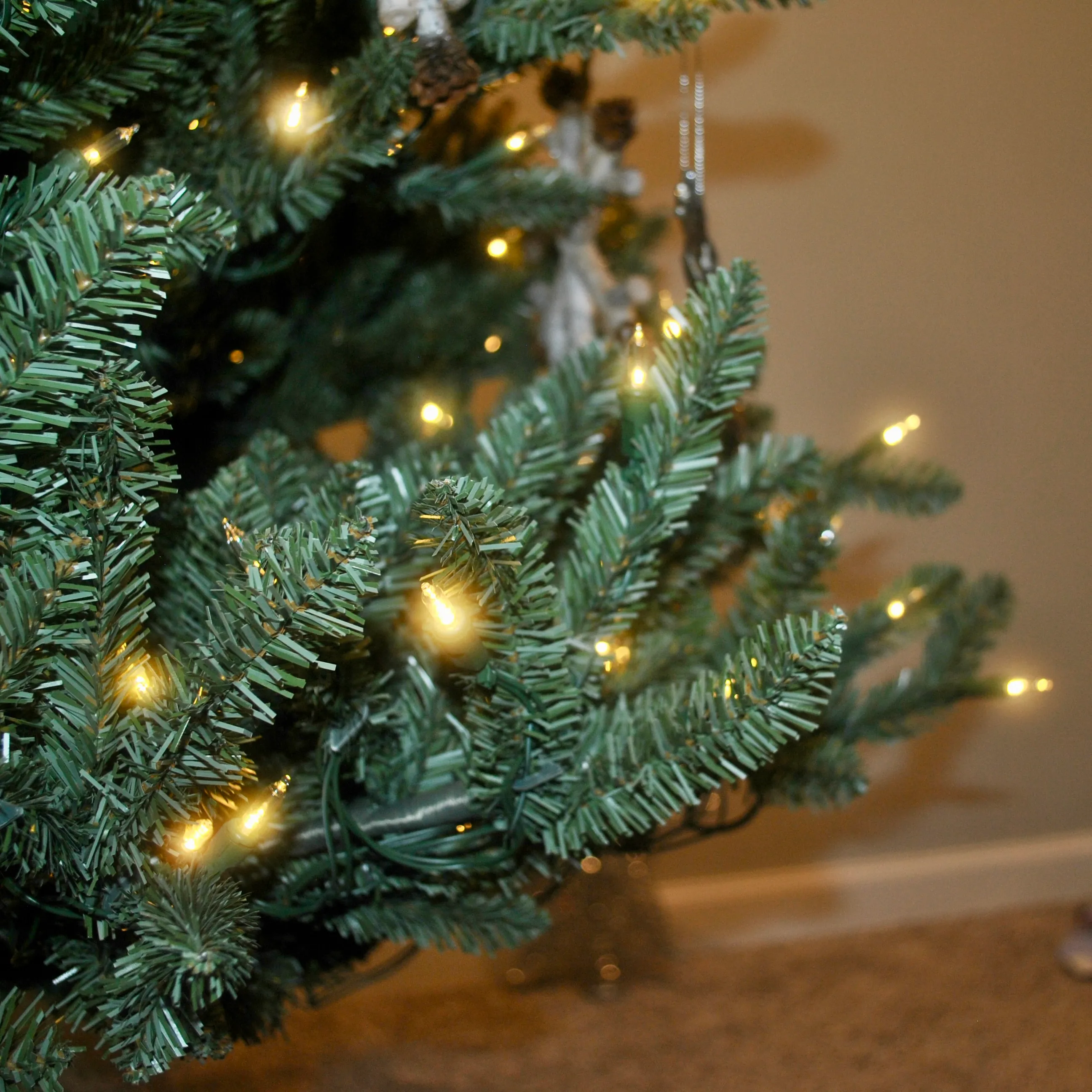 Наближене зображення ялини Blue Spruce від Balsam Hill